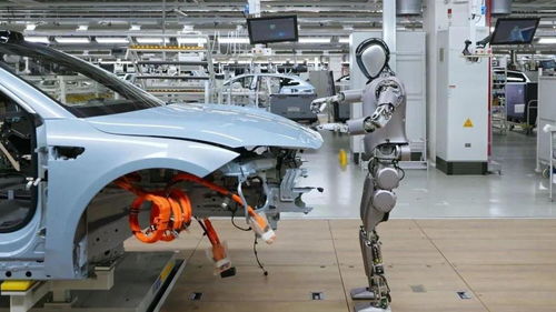 COON8x8x的域名是多少wwwrrr333yinbibi5252secom