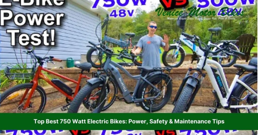 best 750 watt electric bike
