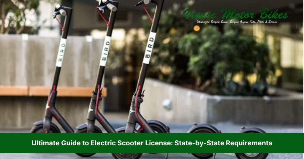 electric scooter license